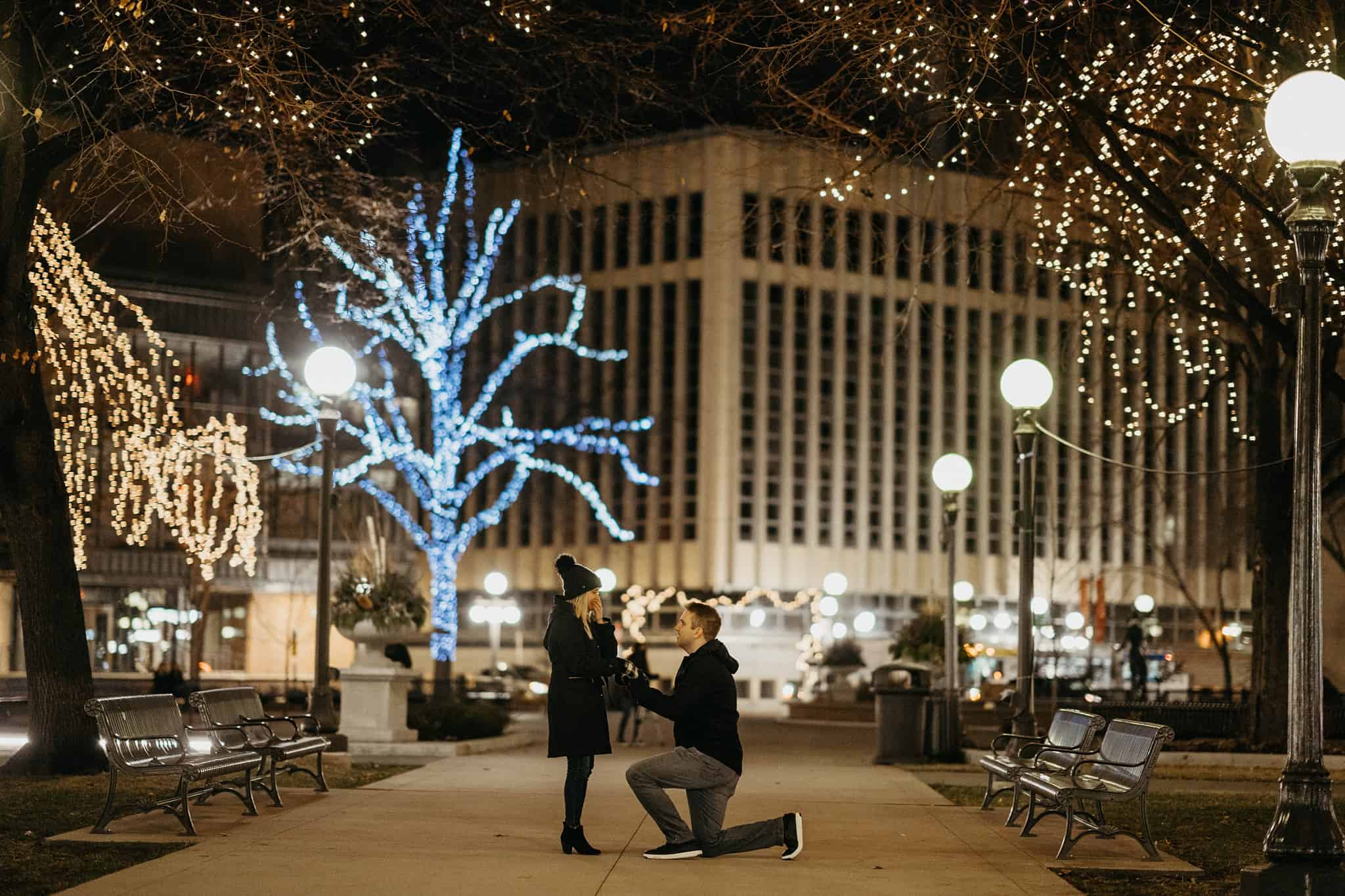rice park proposal st paul minnesota